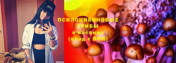 прущая мука Абаза