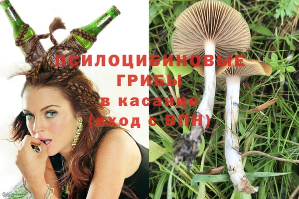 прущая мука Абаза