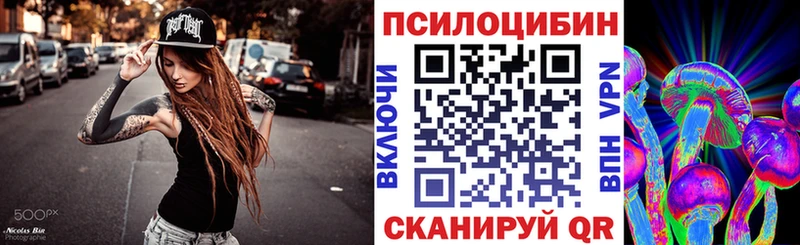 закладки  Сатка  Псилоцибиновые грибы GOLDEN TEACHER 