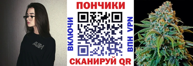 Бошки Шишки SATIVA & INDICA  купить наркоту  Сатка 